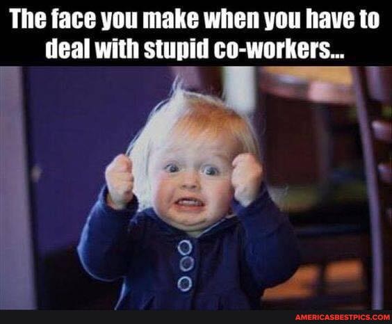 The face you make when you have to
deal with stupid co-workers...