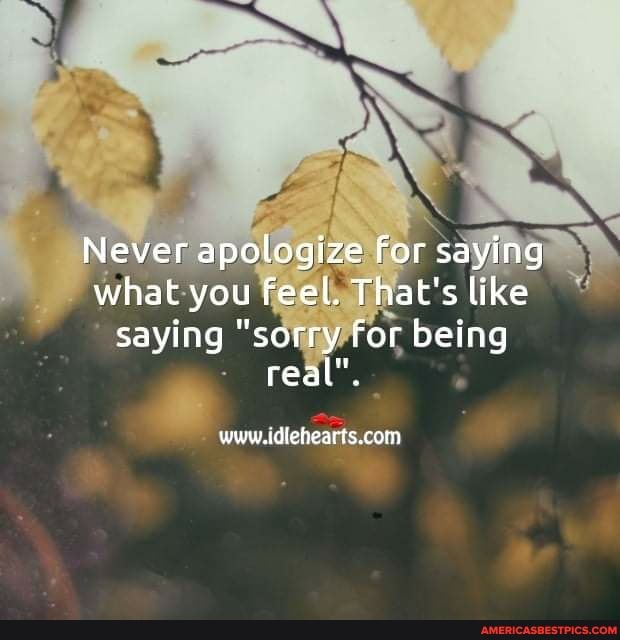Never apologize for saying what you feel. That's like saying "sorry for being real",