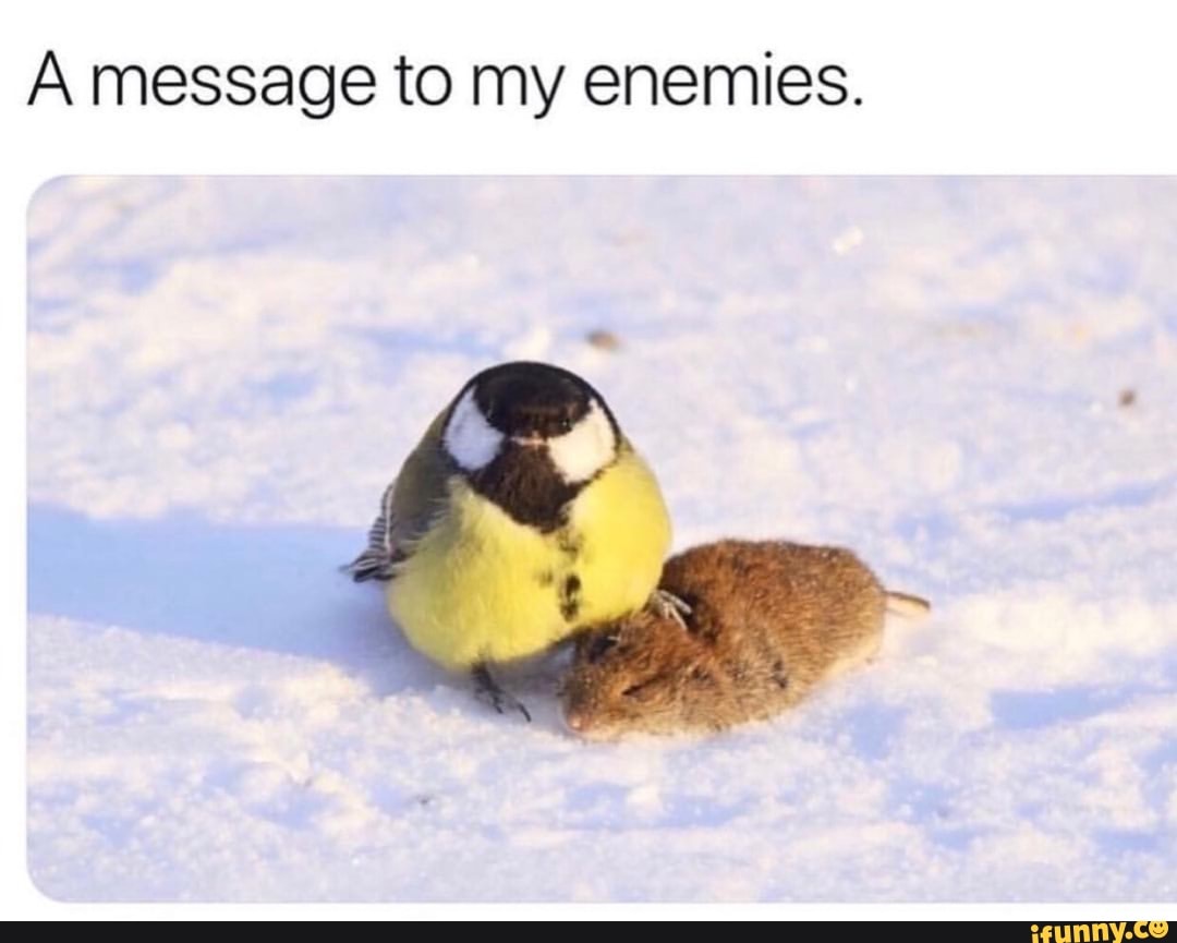 A message to my enemies.