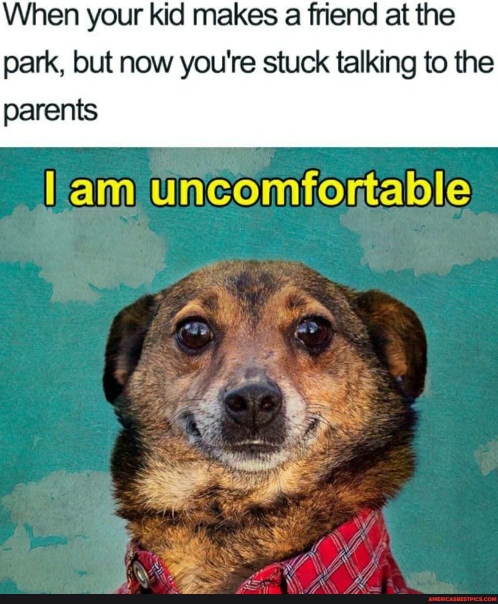 When your kid makes a friend at the park, but now you're stuck talking to the
parents
lam uncomfortable
ge