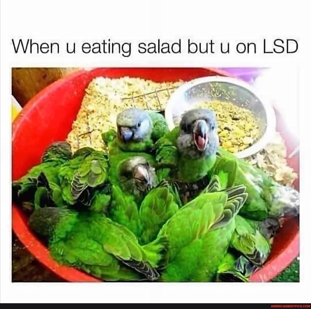When u eating salad but u on LSD