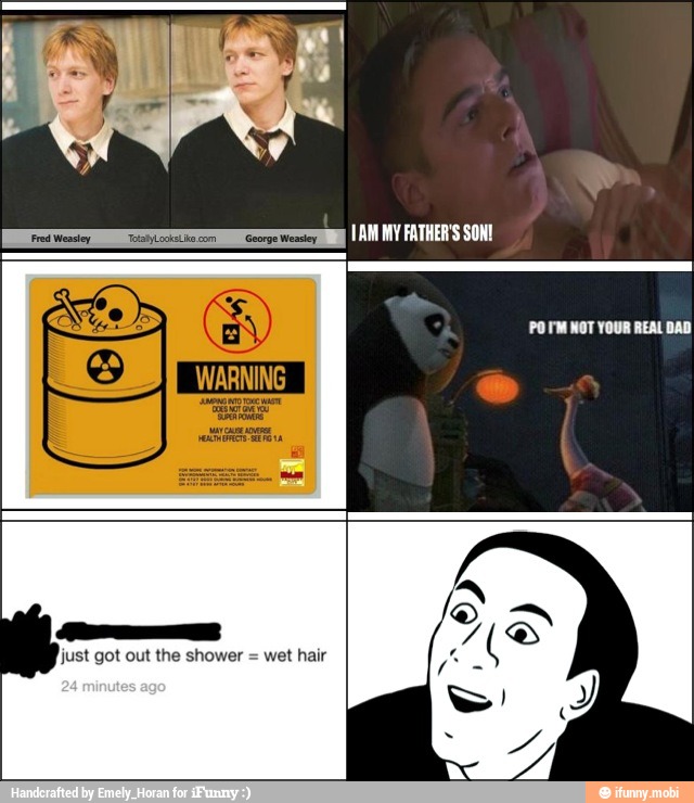 George Weasley
TAM MY FATHER'S SON!