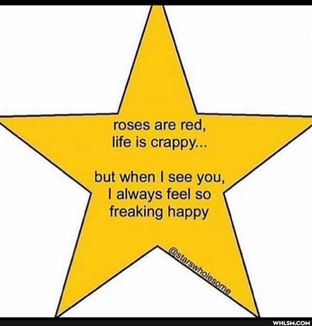 roses are red, life is crappy...
but when see you,
I always feel so freaking happy
Se