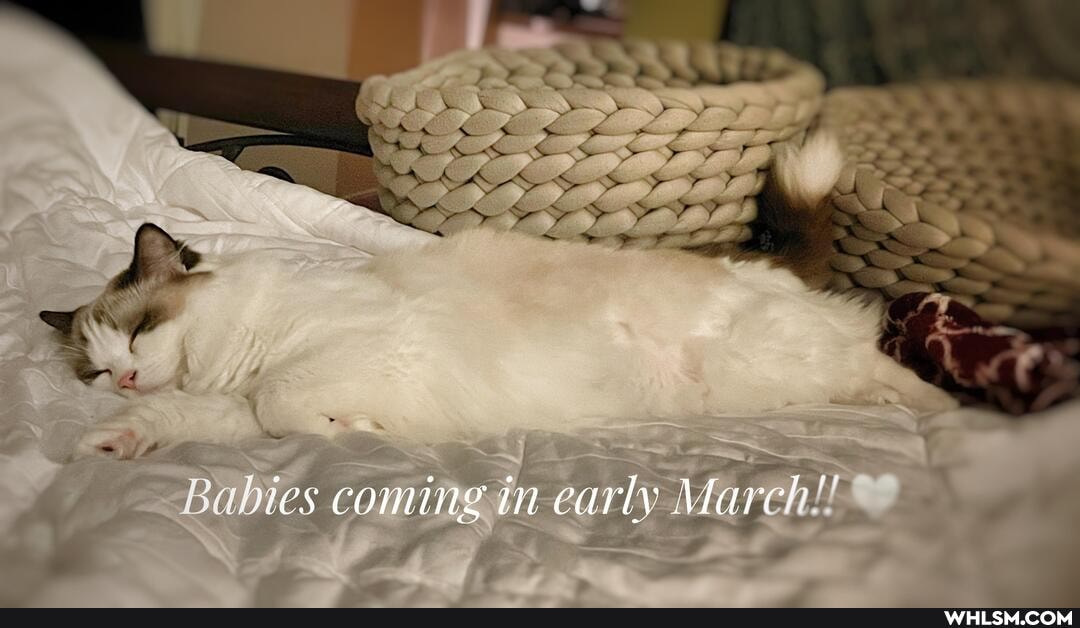 Babies coming in early Marc!