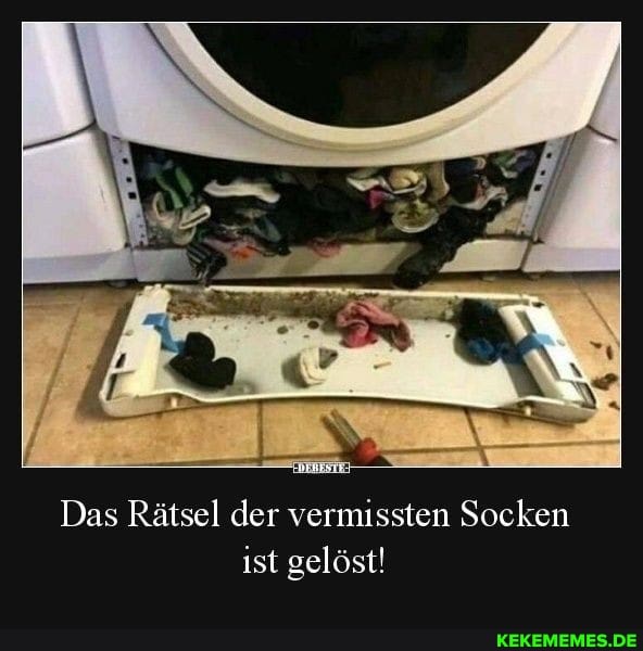 Das Rätsel der vermissten Socken ist gelöst!