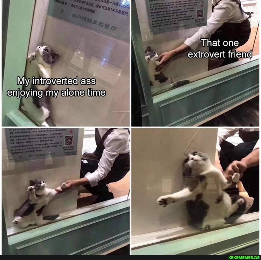 That one extrovert friend
My introverted ass
enjoying my alone time
Le