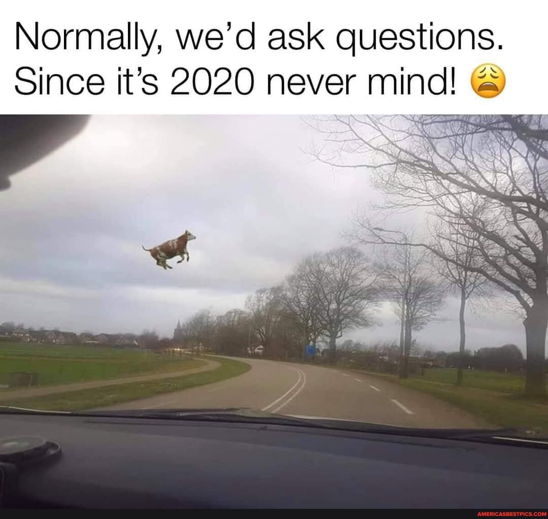 Normally, we'd ask questions.
Since it's 2020 never mind! @