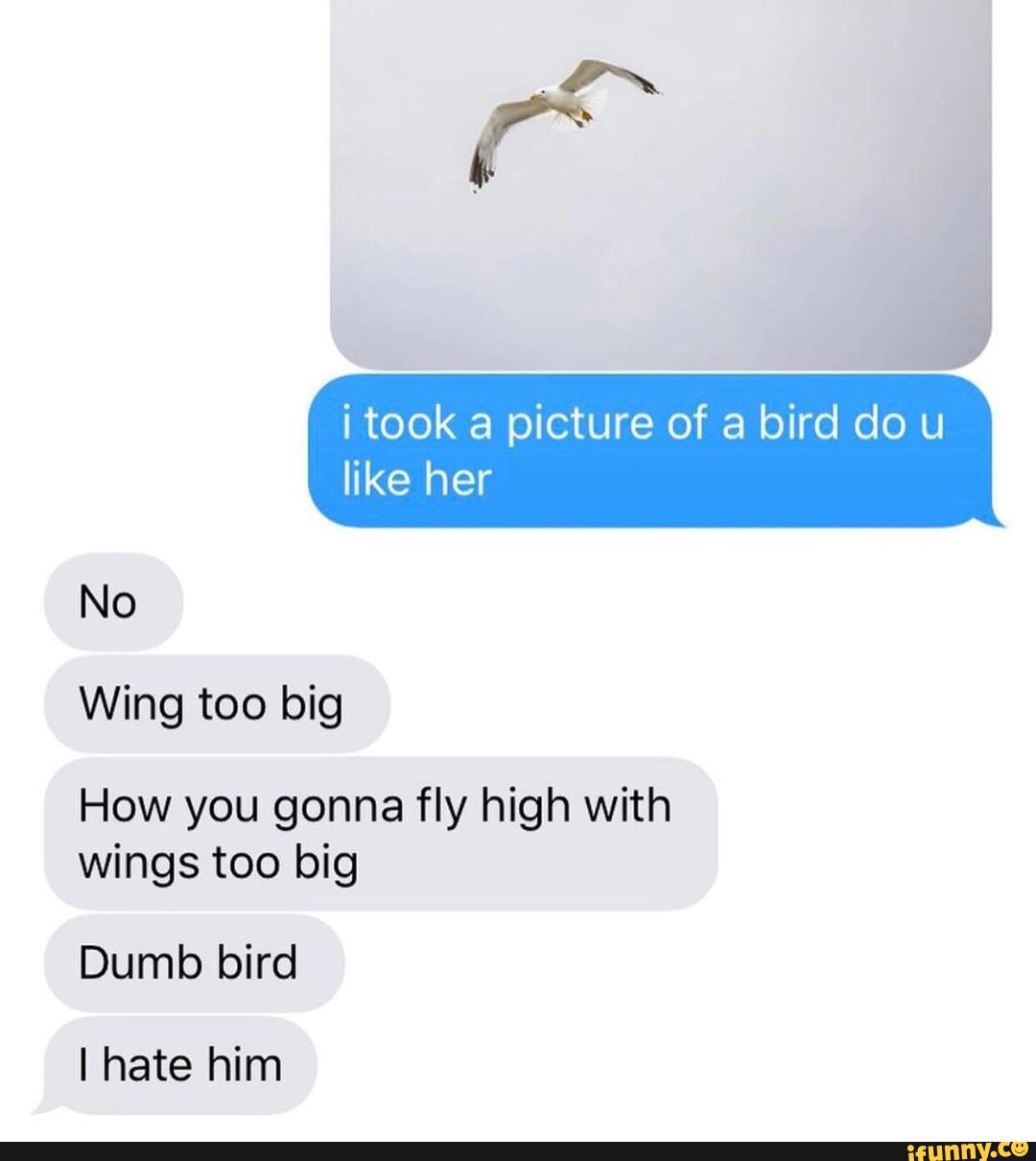 She likes birds