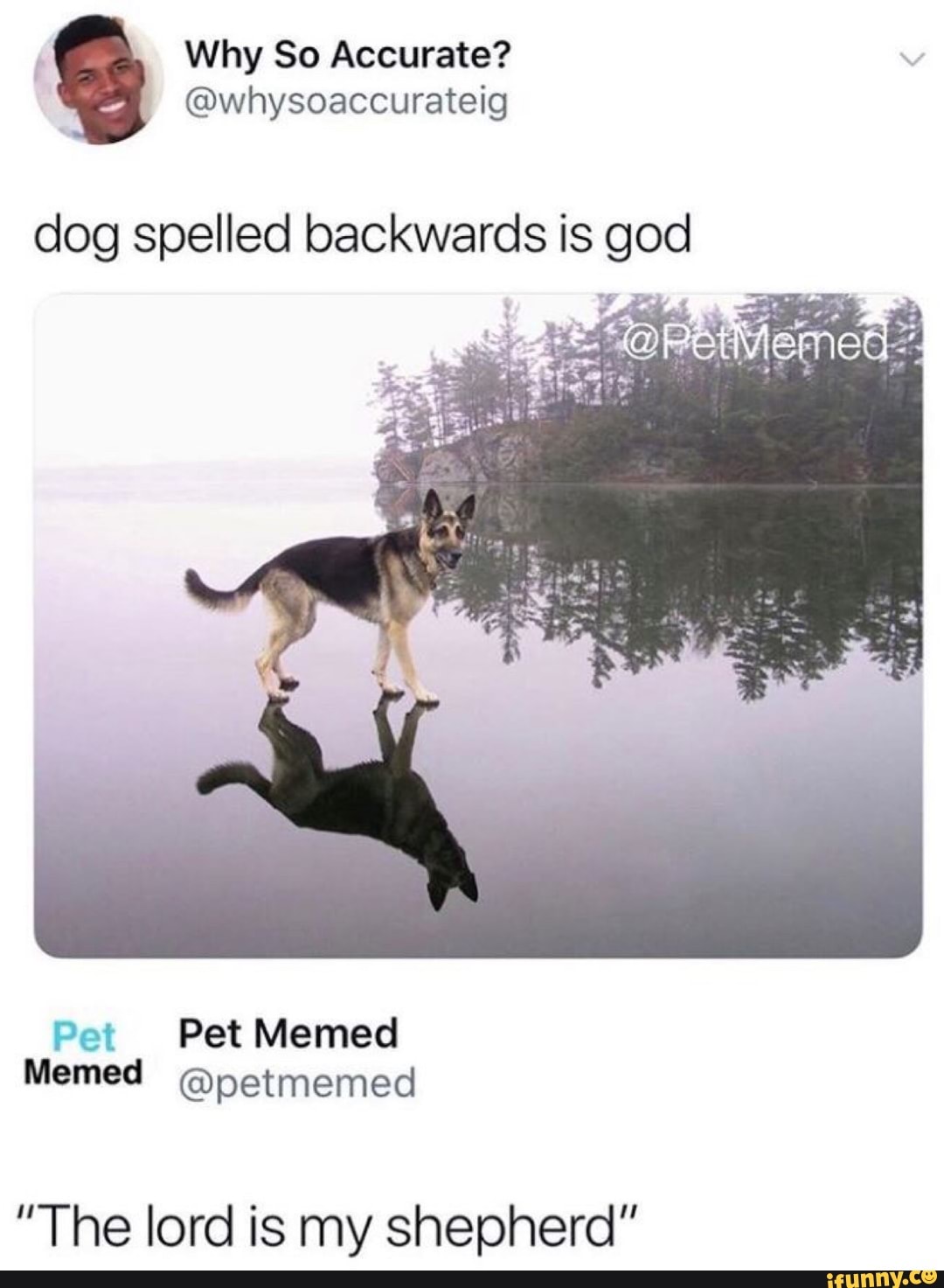 Dog Spelled Backwards Is God The Lord Is My Shepherd