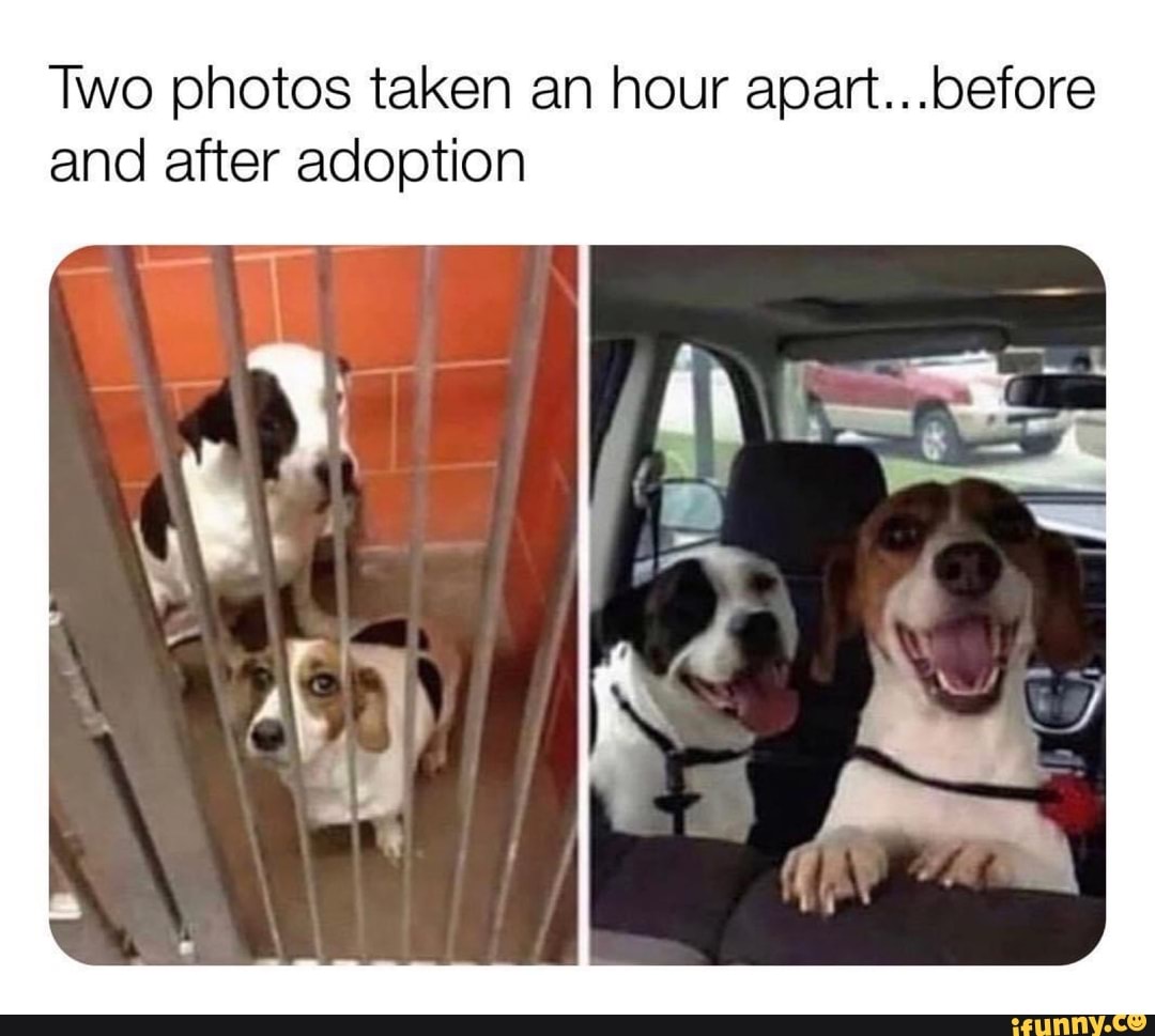 Two photos taken an hour apart...before
and after adoption