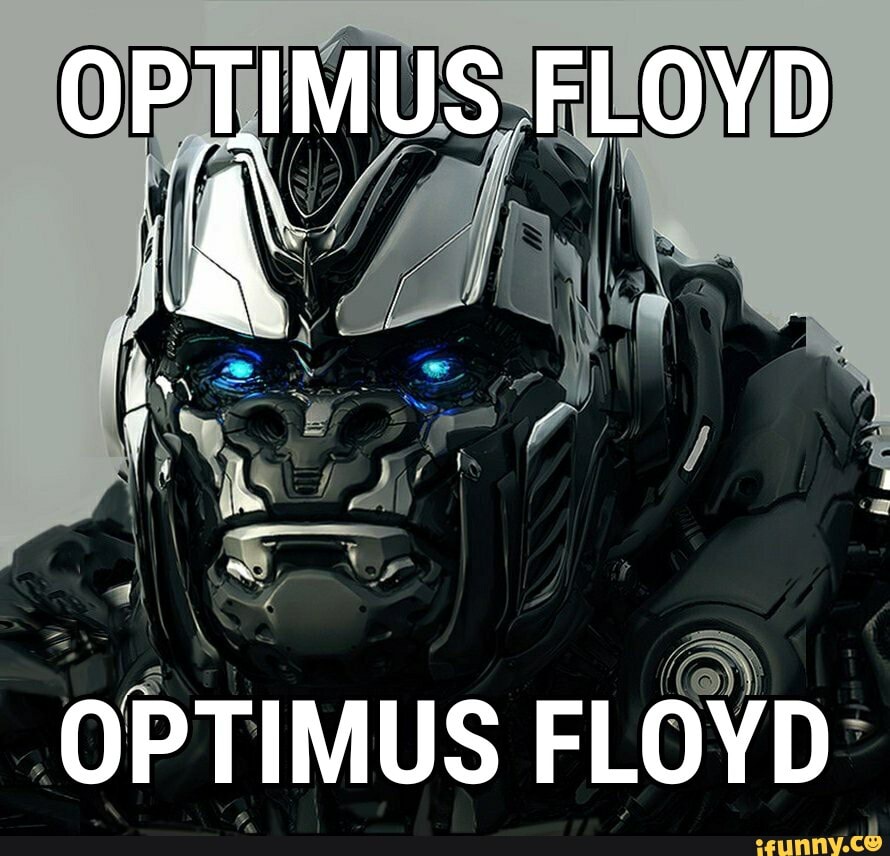 OF FLOYD
OPTIMUS FLOYD