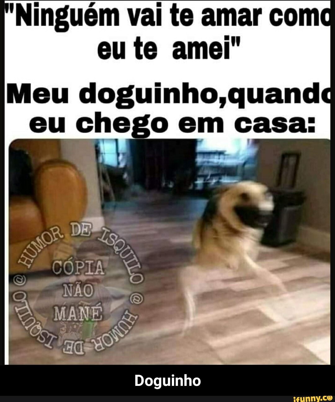 'Ninguem vai te amar come
eu te amei"
Meu doguinho,quandc
eu chego em casa:
Doguinho - Doguinho