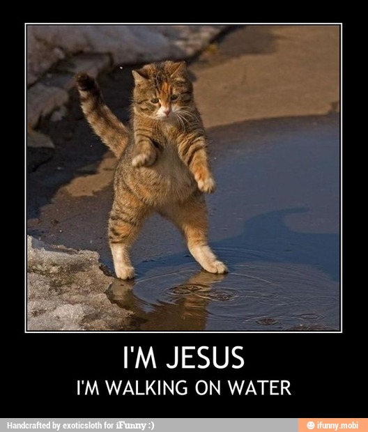 I'M JESUS
EM WALKING ON WATER - I'M JESUS
I'M WALKING ON WATER