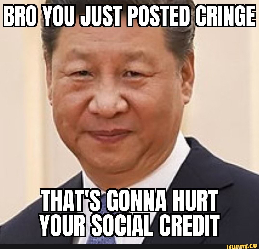 Bro You Just Posted Cringe That S Gonna Hurt Your Social Credit