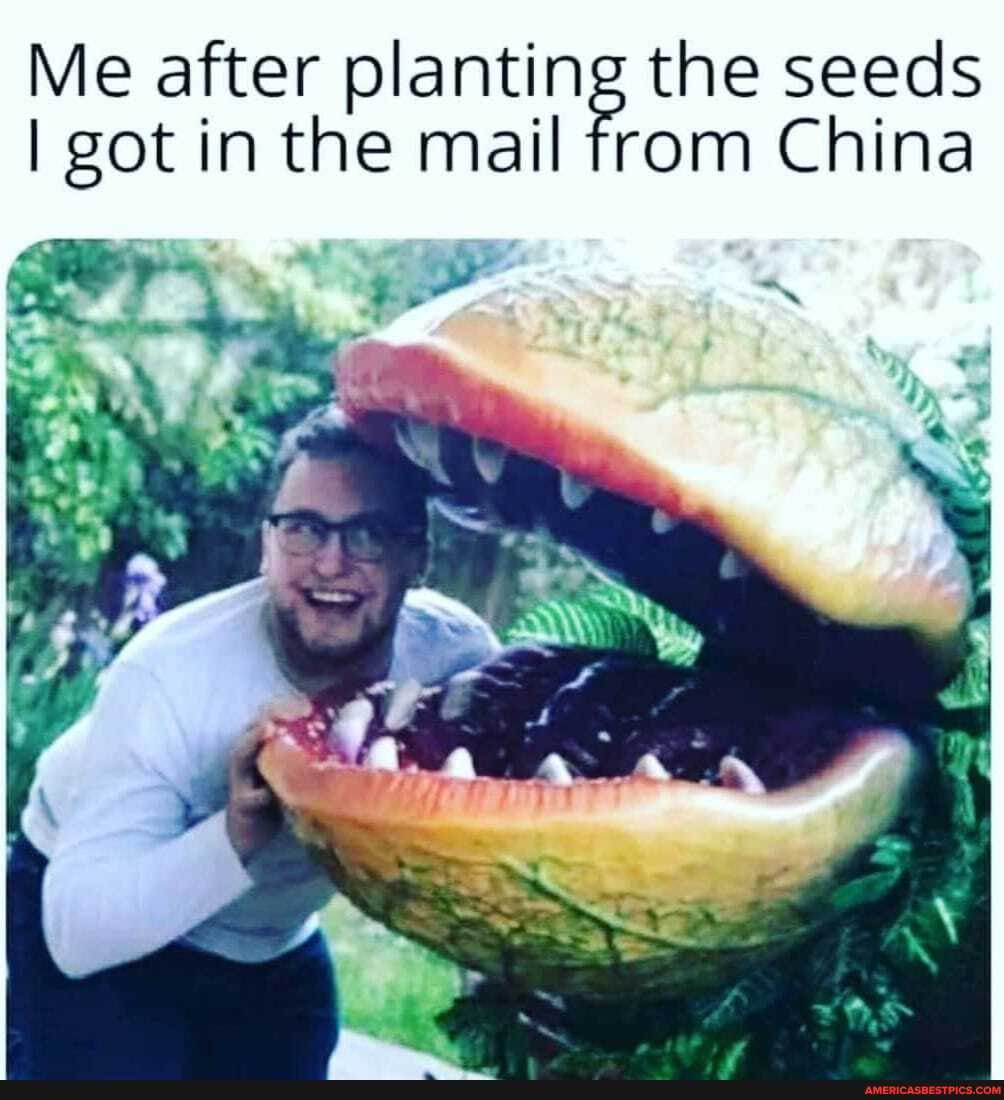 Me I after got in the mail fr the om seeds China
I got in the mail fr
om China