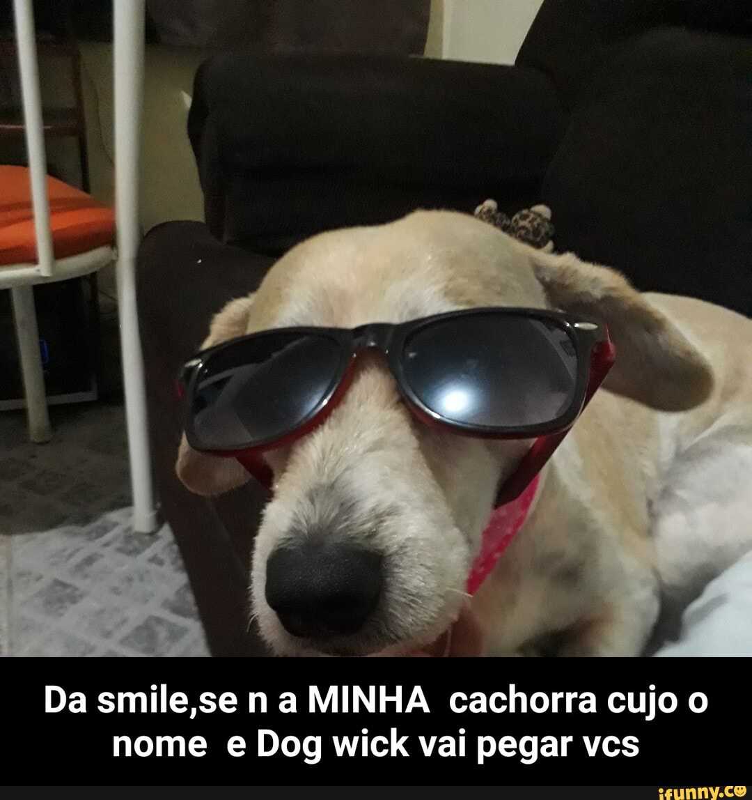 Da smile,se n a MINHA cachorra cujo o
nome e Dog wick vai pegar vcs - Da smile,se n a MINHA cachorra cujo o nome e Dog wick vai pegar vcs