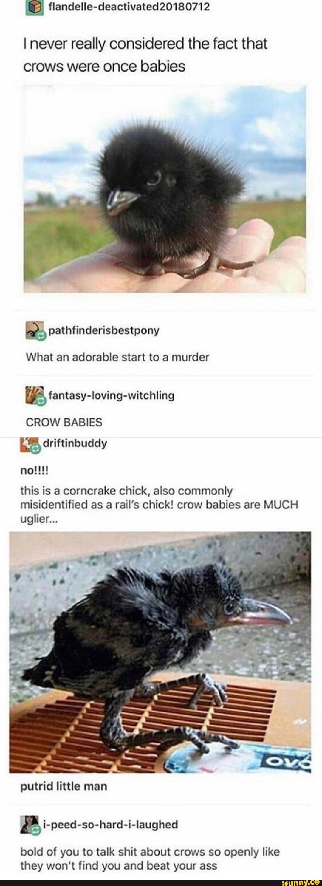 I never really considered the fact that crows were once babies - iFunny