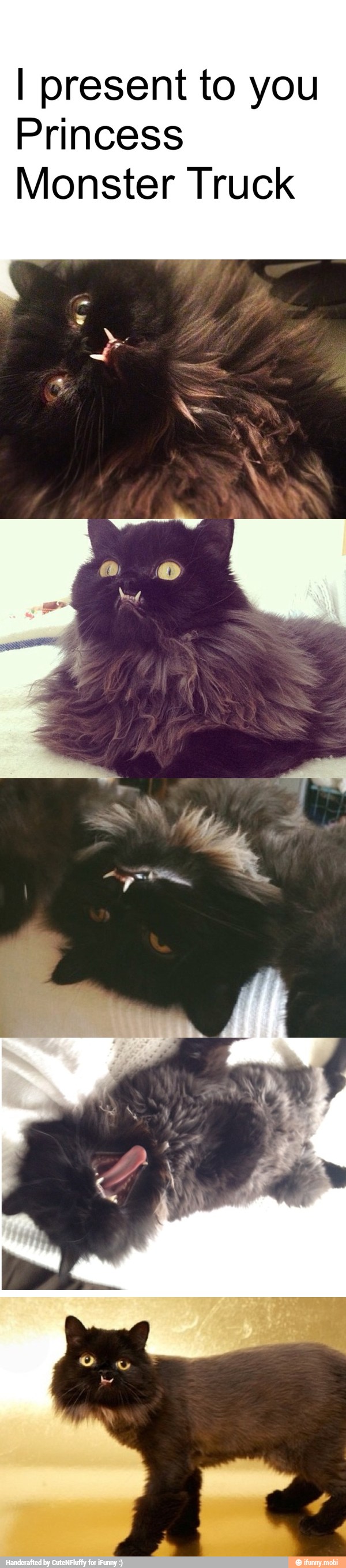 I present to you
Princess
Monster Truck