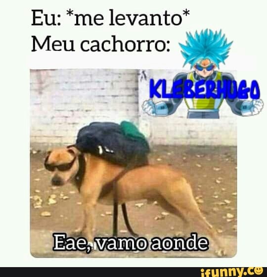 Eu: *me levanto*
Meu cachorro:
aonde