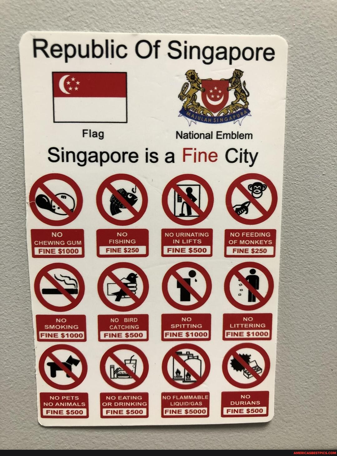 Republic Of Si Flag National Emblem Singapore is a Fine City NO NO NO URINATING NO FEEDING