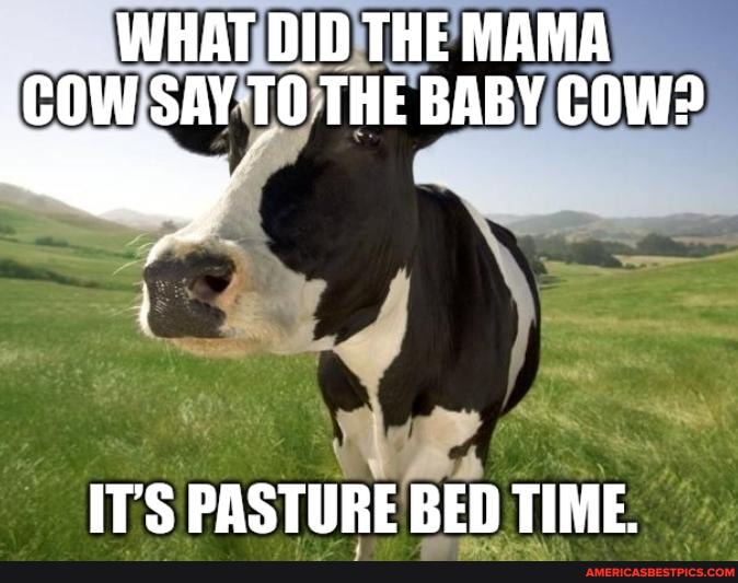 Dissociative identity disorder visual data 6