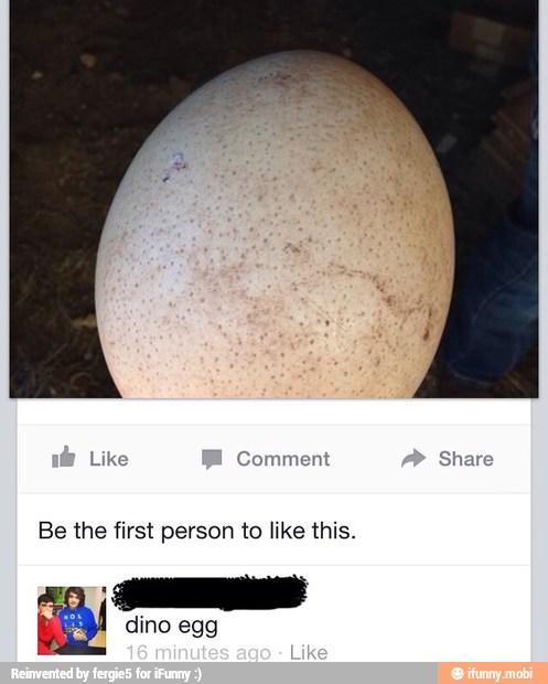 Be the first person to like this.
dino egg
