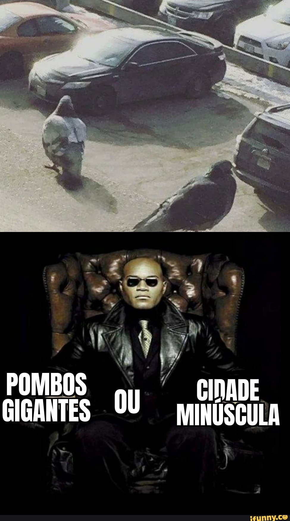 POMBOS ou CInADE GIGANTES OU MINÚSCULA