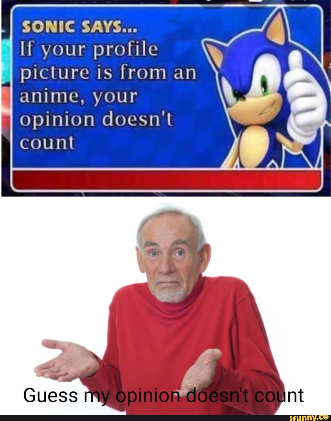 SONIC SAYS... If your profile picture is from an anime, your opinion  doesn't count wym anime pfp - iFunny