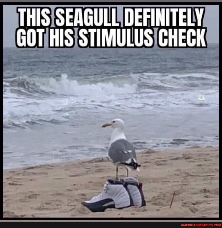 THISISEAGULES DEFINITELY His CHECK