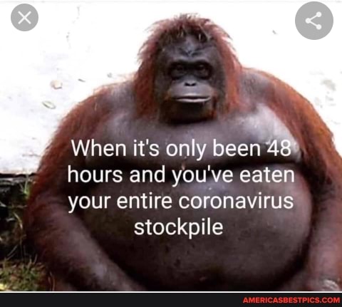 When it's only been 48 hours and you've eaten your entire coronavirus stockpile