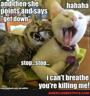 ste hahata
"ger
stop...
can't breathe you're killing me!