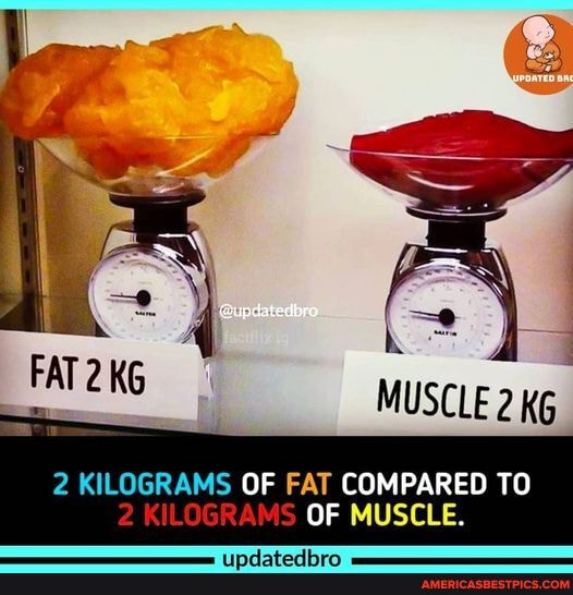 Muscle 2 Kg Fat Kg Eupdatedbra 2 Kilograms Of Fat Compared To Of Muscle 