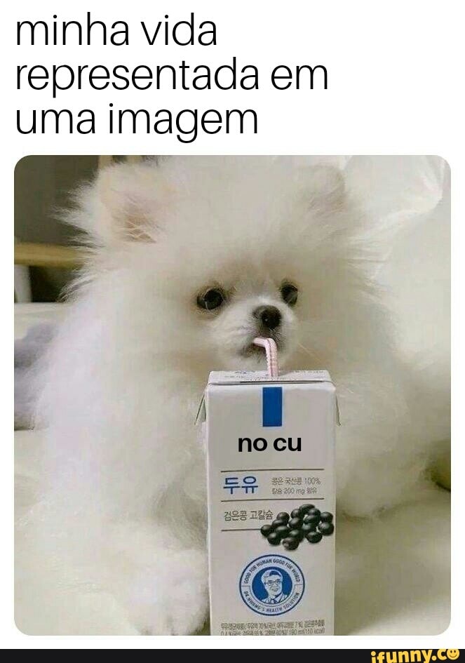 minha vida
representada em
uma imagem