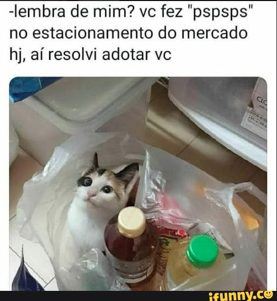 -lembra de mim? vc fez "pspsps" no estacionamento do mercado hj, aí resolvi adotar vc