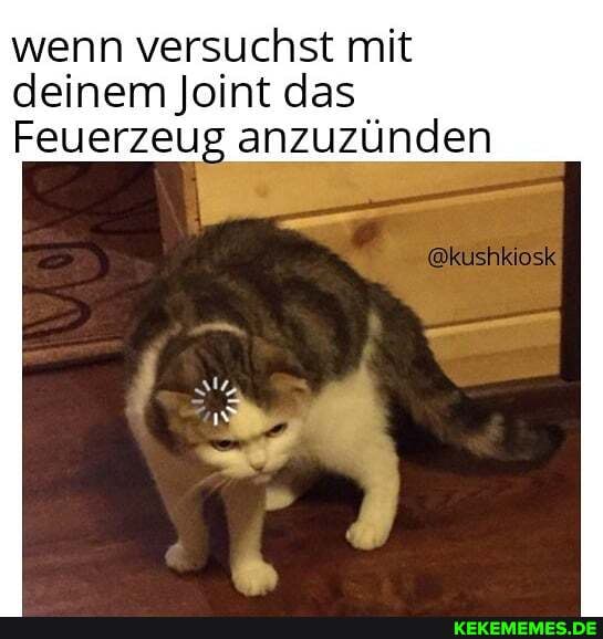 wenn versuchst mit
deinem Joint das
Feuerzeug anzuzünden