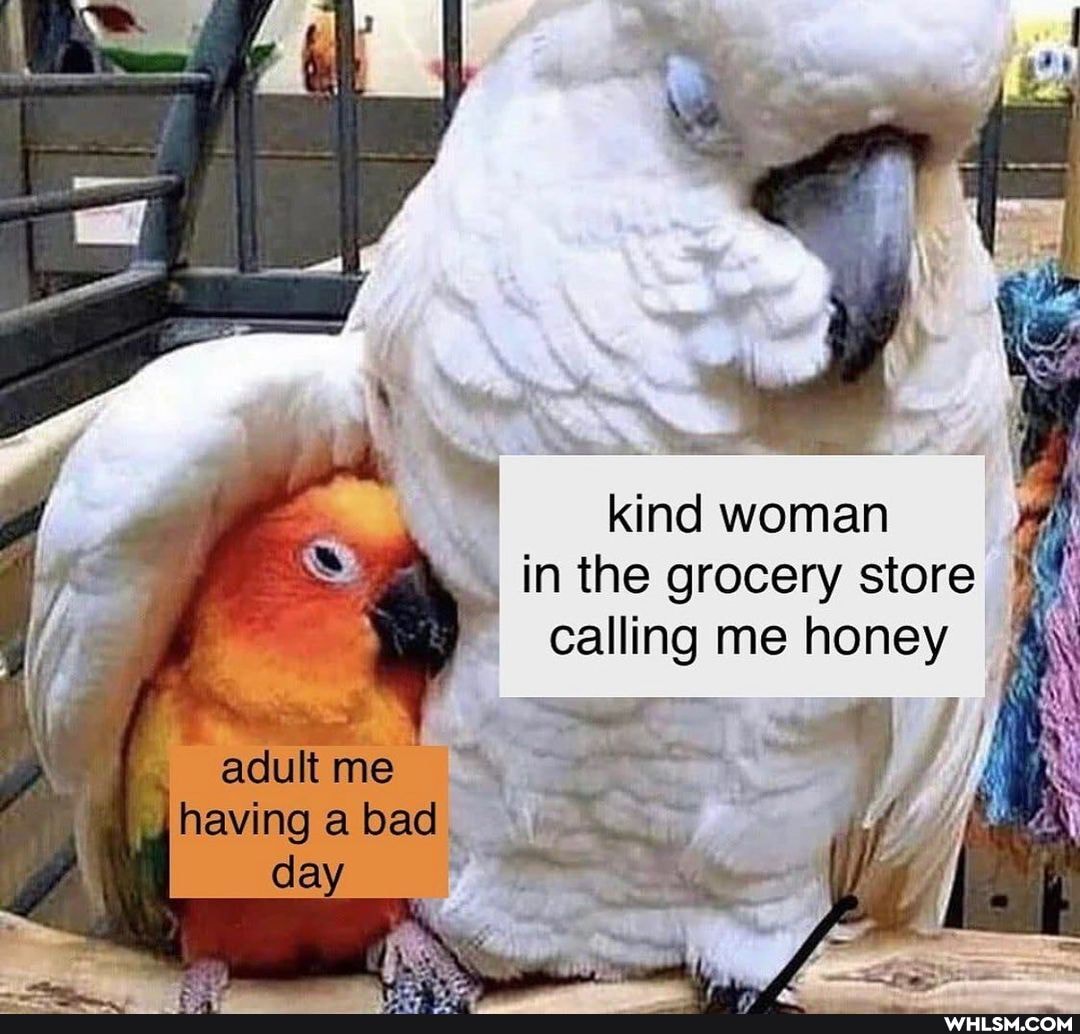 kind woman y I in the grocery calling me store honey calling me honey I adult me having a bad day