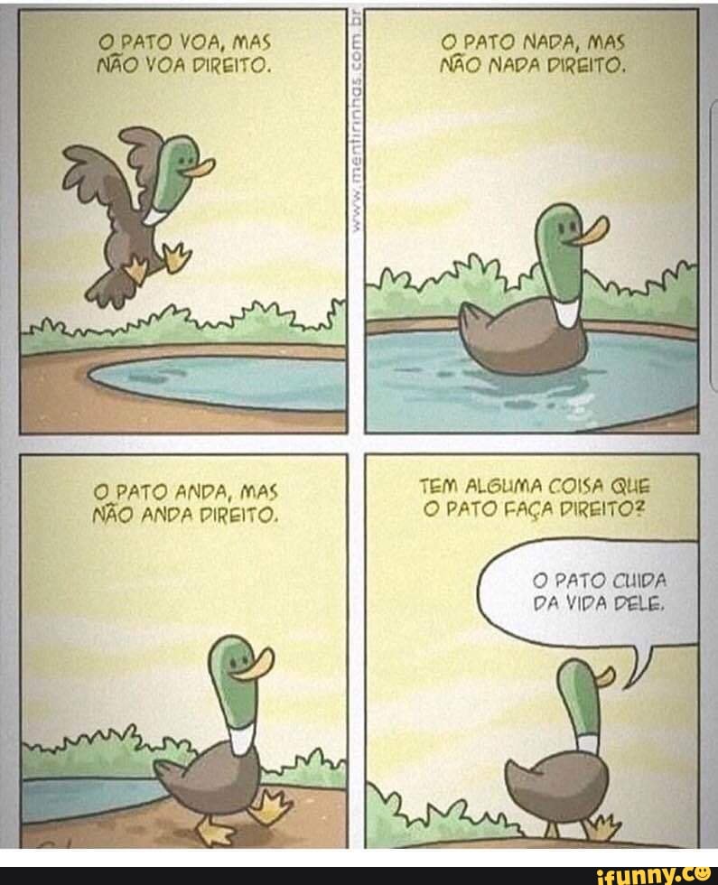 O PATO NADA,
NÃO NADA DIREI
O PATO ANDA, Mas TEM ALGUMA COISA QUE
NÃO ANDA DIREITO. O PATO FAÇA PIREITOZ
O PATO CUIDA
DA VIDA DELE, À