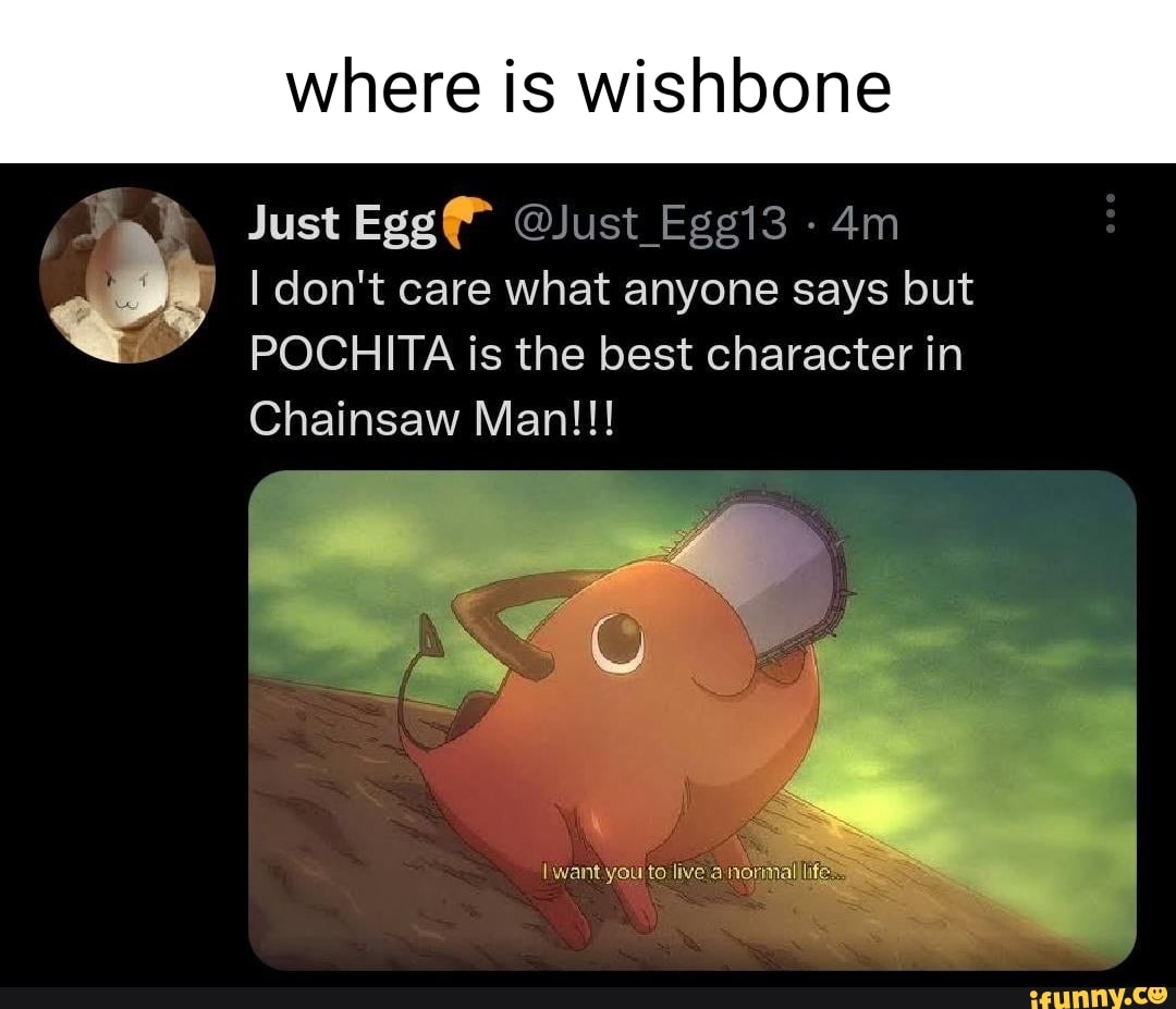 Where is wishbone Just Egg I don't care what anyone says but POCHITA is ...