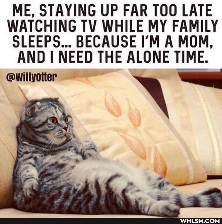 ME, STAYING UP FAR TOO LATE WATCHING TV WHILE MY FAMILY SLEEPS... BECAUSE I'M A MOM,
AND NEED THE ALONE TIME.
ewittyotier
