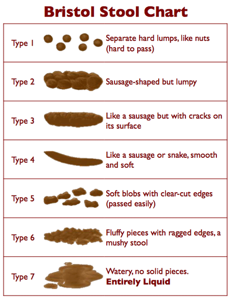Bristol Stool Chart @ @ @ Separate hard lumps, like nuts Type hard to ...