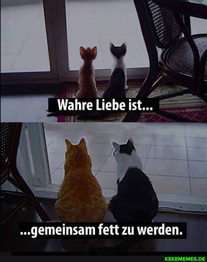 Huf 47
Wahre Liebe ist...
\ 4
"gemeinsam fett zu werden.