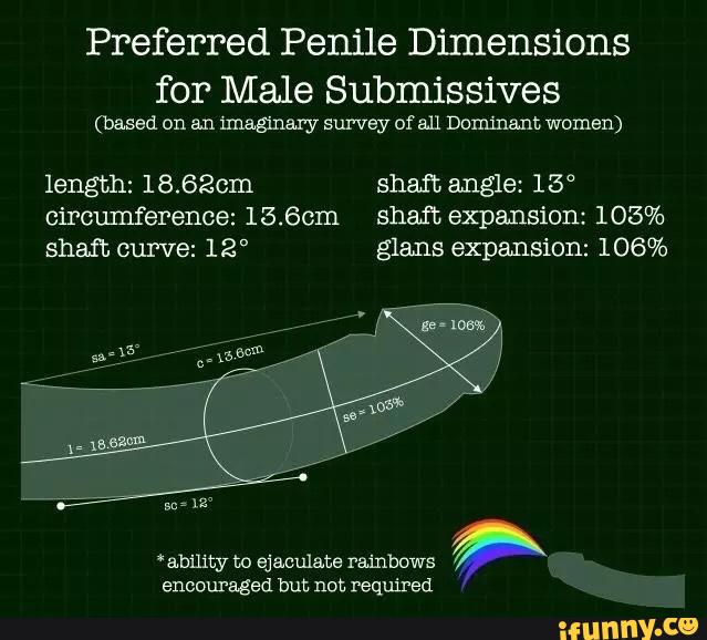 Preferred Penile Dimensions for Male Submissives (based on an imaginary sur...