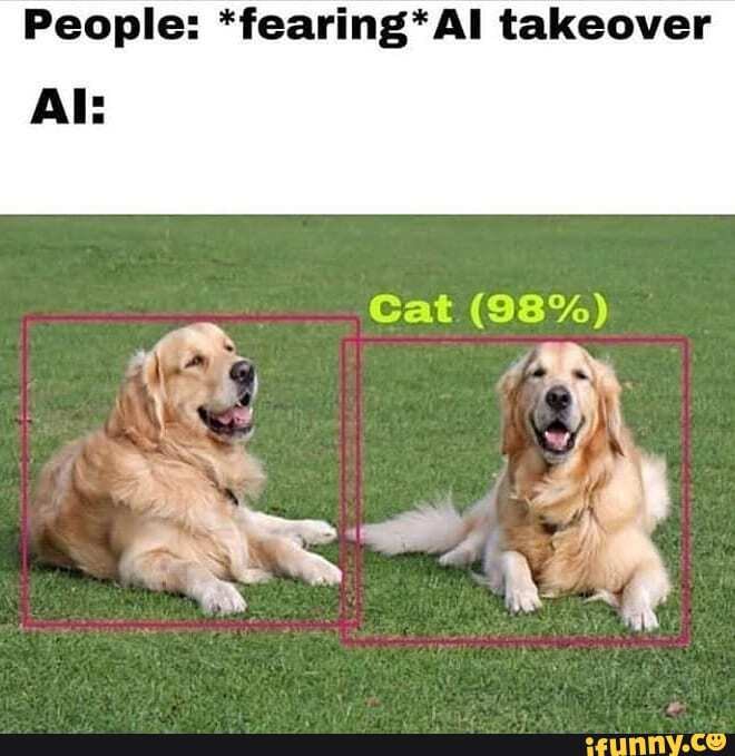 People: *fearing* Al takeover
Al:
Cat (98%)
