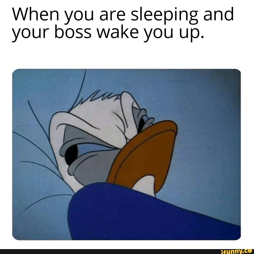 I'm working hard boss - When you are sleeping and your boss you up. - iFunny