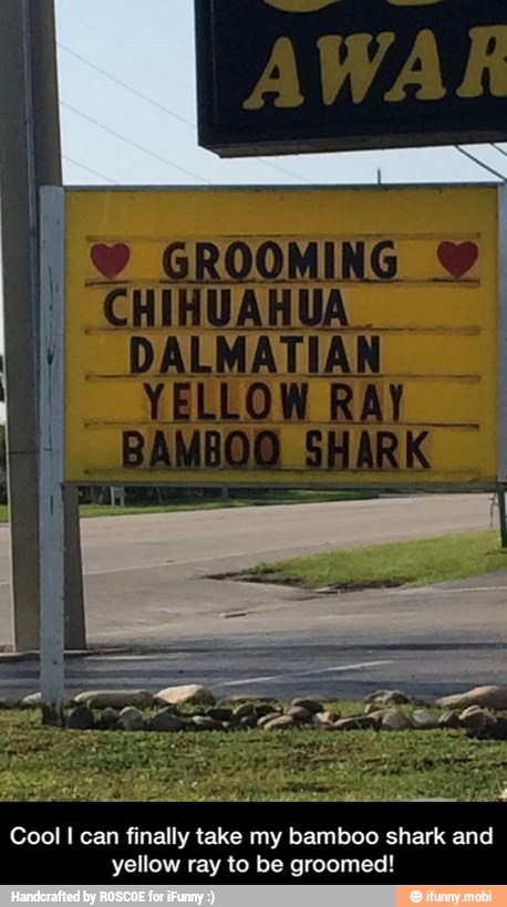 Sine dd ¿BRA dea
Cool I can finally take my bamboo shark and
yellow ray to be groomed! - Cool I can finally take my bamboo shark and yellow ray to be groomed!