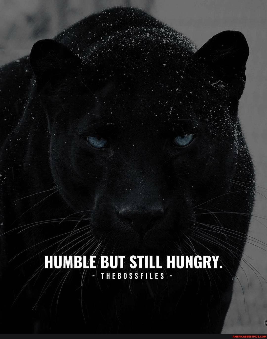 HUMBLE BUT STILL HUNGRY.
THEBOSSFILES