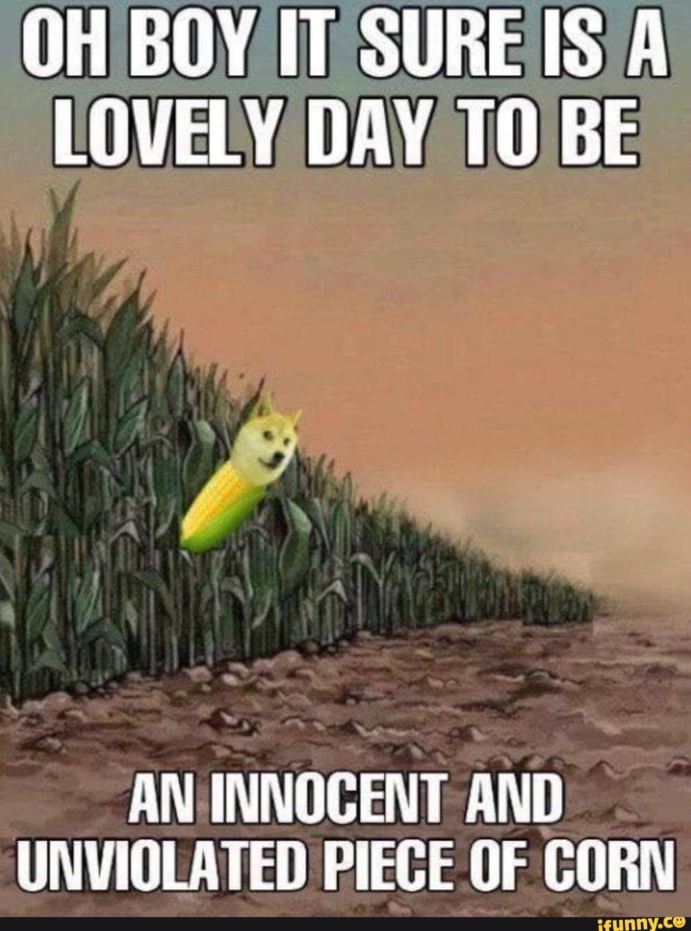 Corn memes. Best Collection of funny Corn pictures on iFunny