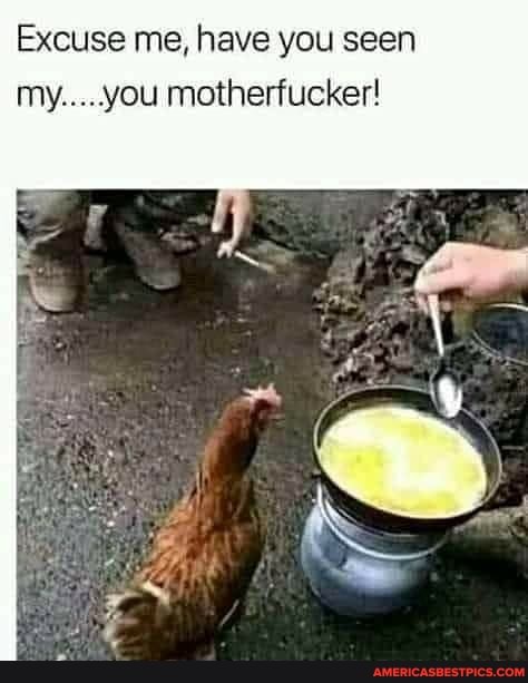 Excuse me, have you seen you motherfucker!