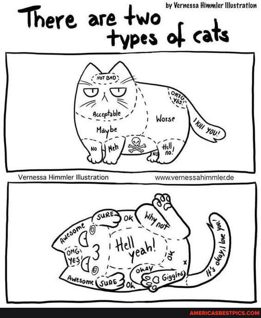 Th ev a two by Vernessa Himmler Illustration of. cats types - America’s ...