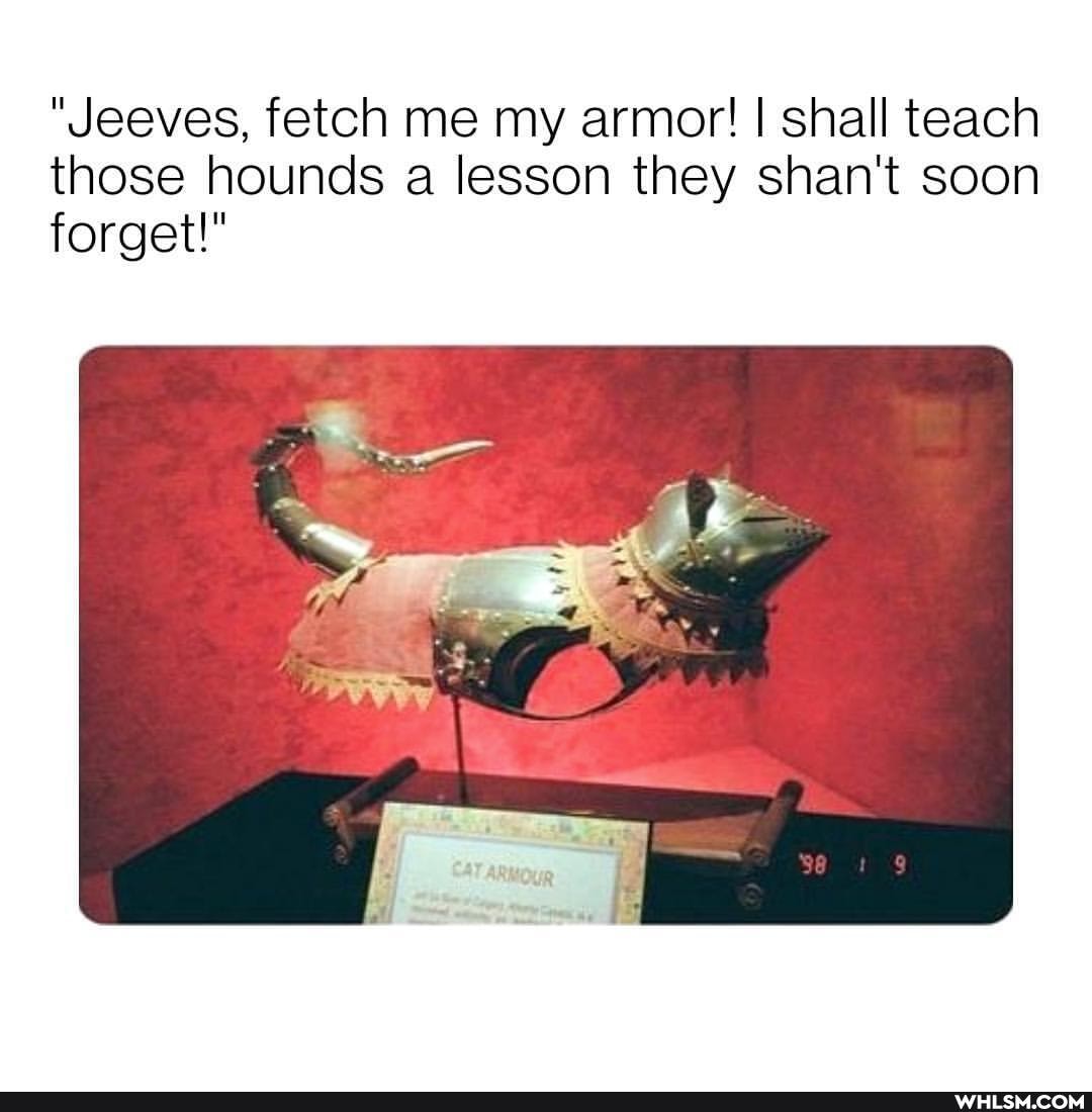 "Jeeves, fetch me my armor! I shall teach those hounds a lesson they shan't soon forget!"